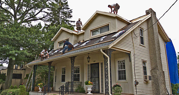 Roof Gutter Cleaning in Dove Valley, CO